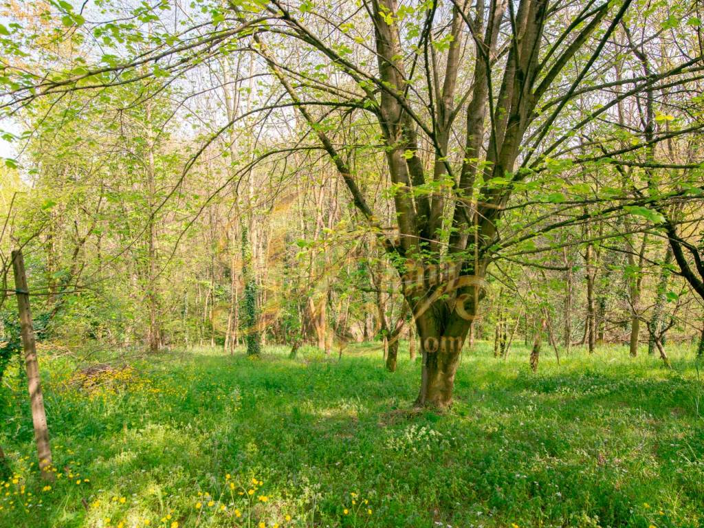 Villa a Borgonovo val tidone in Strada Provinciale della Val Tidone - Foto 4