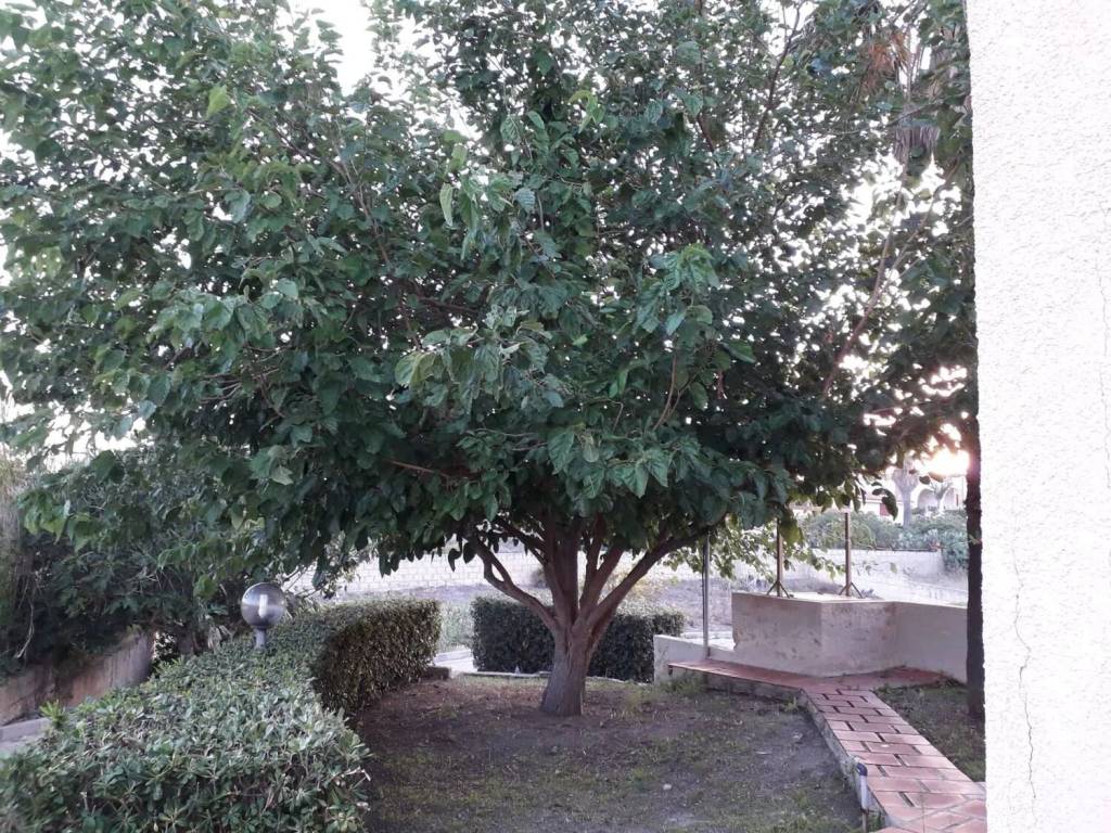 Villa a Noto in Viale Del Corallo, 11 - Foto 4