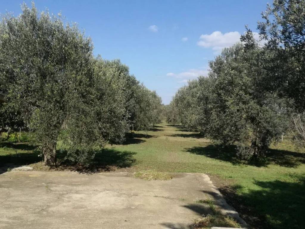 Villa a Noto in Sp56 S.N.C. - Foto 2