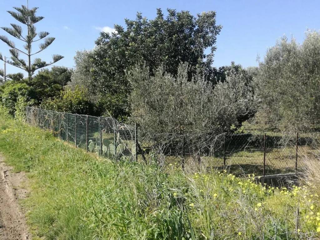 Villa a Noto in Sp56 S.N.C. - Foto 3