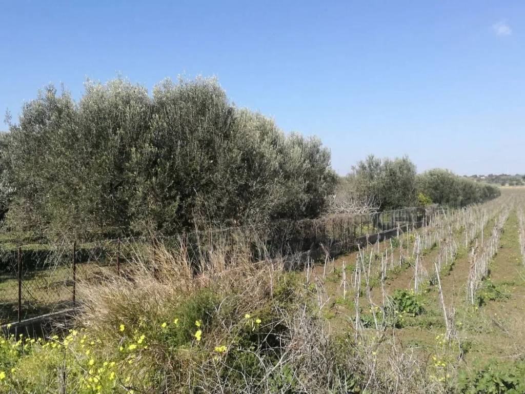 Villa a Noto in Sp56 S.N.C. - Foto 4