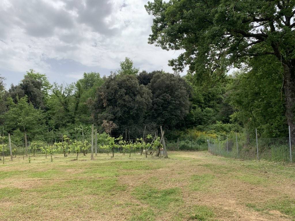 Terreno a Panicale in Via Antonio Gramsci - Foto 2
