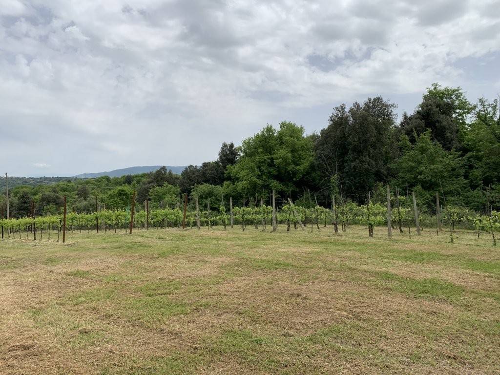 Terreno a Panicale in Via Antonio Gramsci - Foto 3