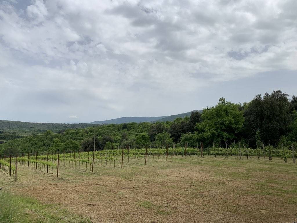 Terreno a Panicale in Via Antonio Gramsci - Foto 4