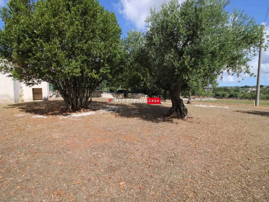 Villa a Cisternino - Foto 5