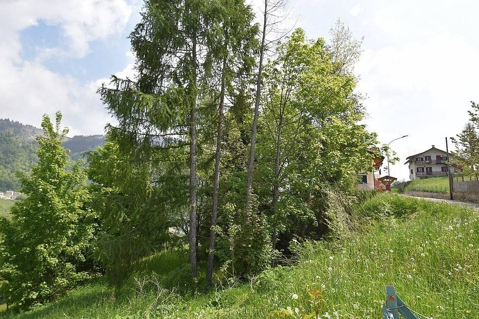 Terreno a Foza in Via Obestap - Foto 4