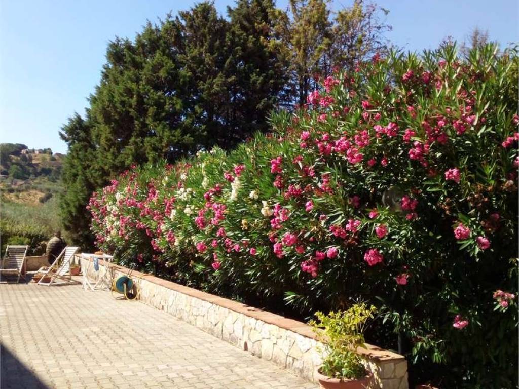 Villa a Enna in CONTRADA RISICALLA - Foto 4