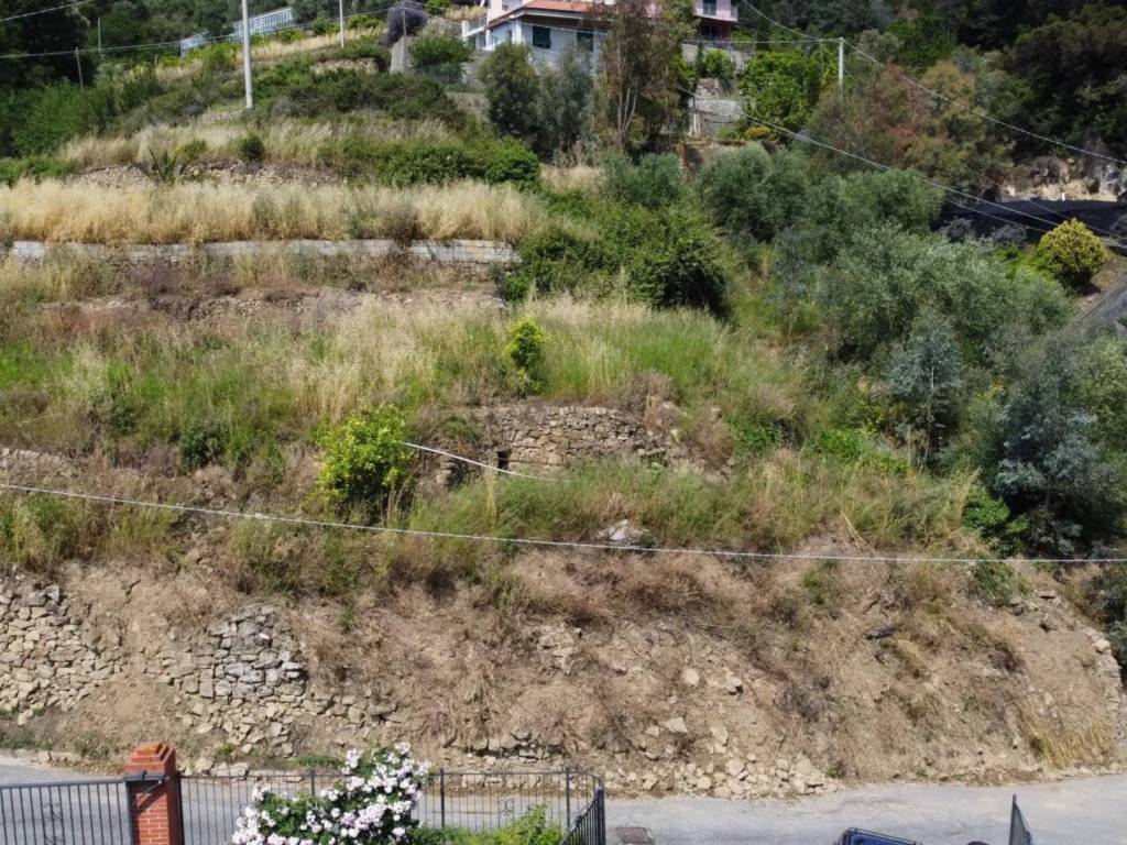 Terreno a San biagio della cima - Foto 2