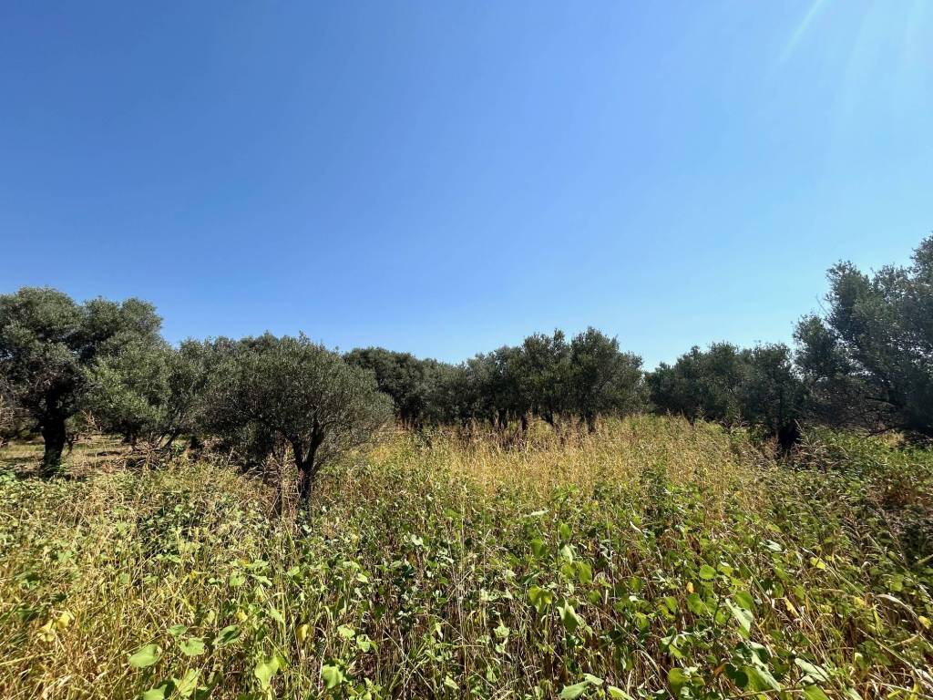 Terreno a San sostene in Via Lacco - Foto 4