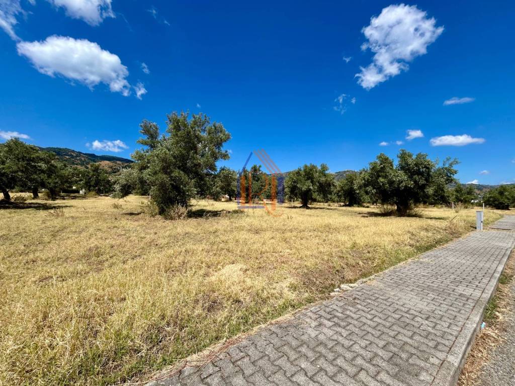 Terreno a Montepaone in Via Salvatore Nisticò - Foto 3