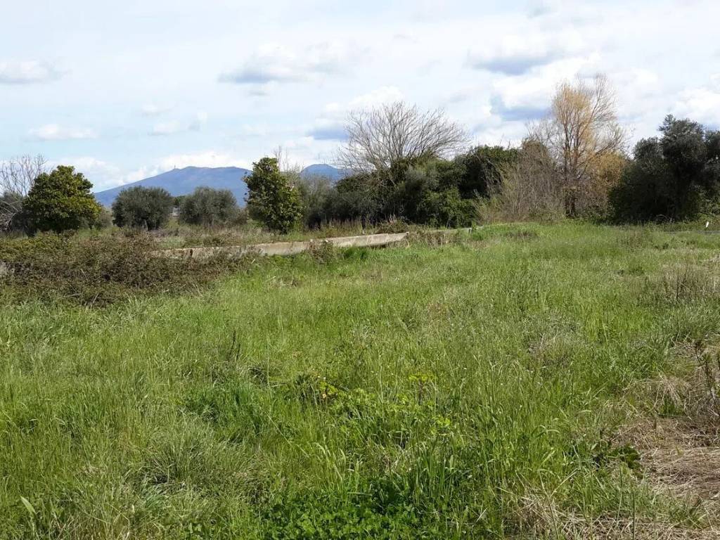 Terreno a Cellole - Foto 3