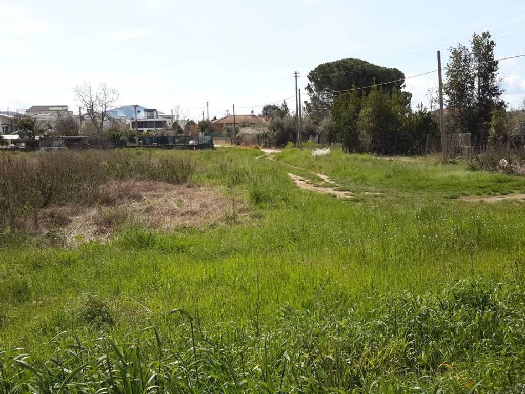 Terreno a Cellole - Foto 5