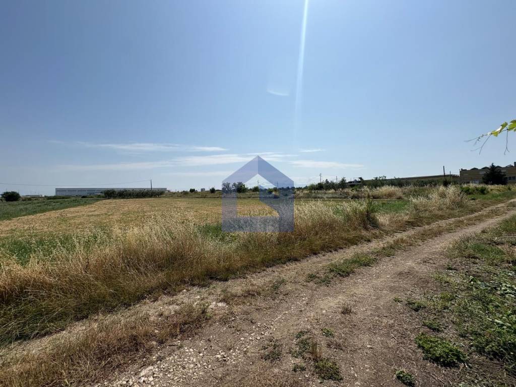 Terreno a San vito chietino - Foto 3