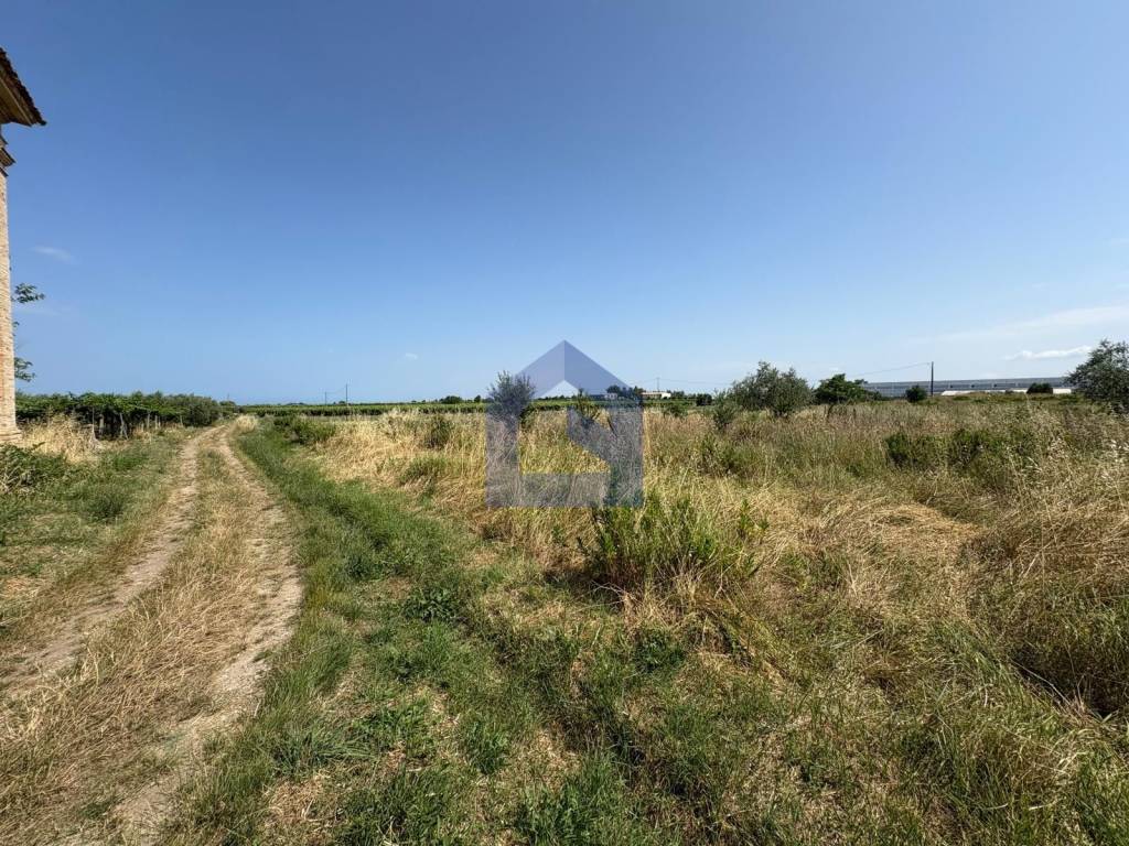 Terreno a San vito chietino - Foto 4