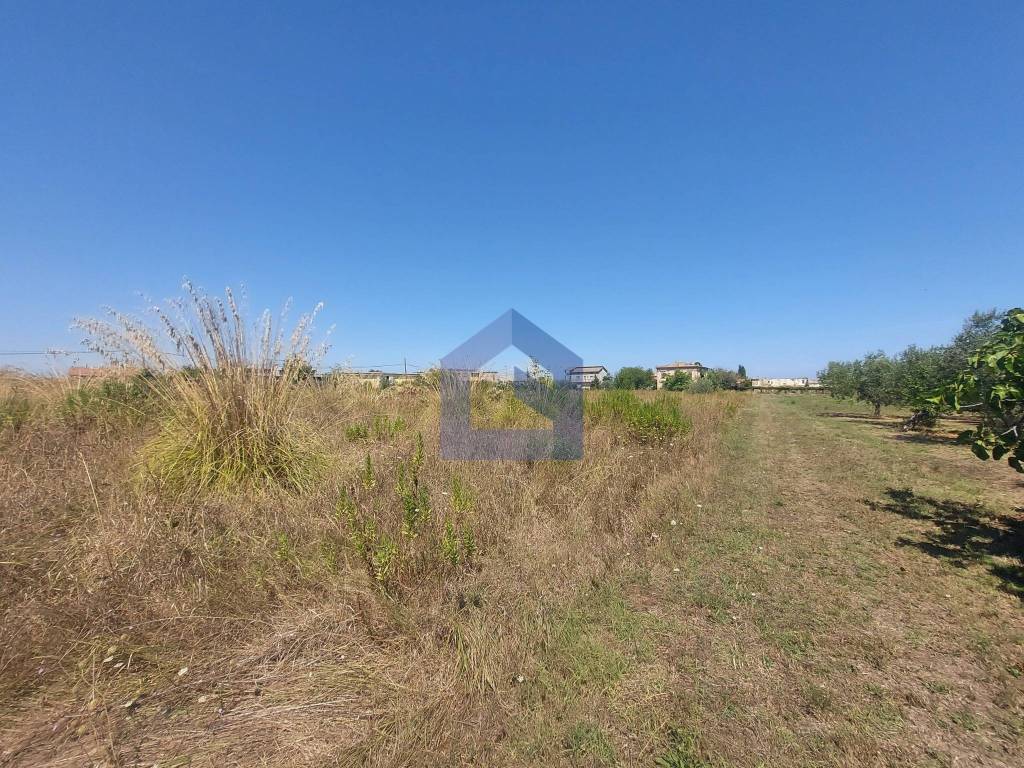 Terreno a San vito chietino - Foto 5