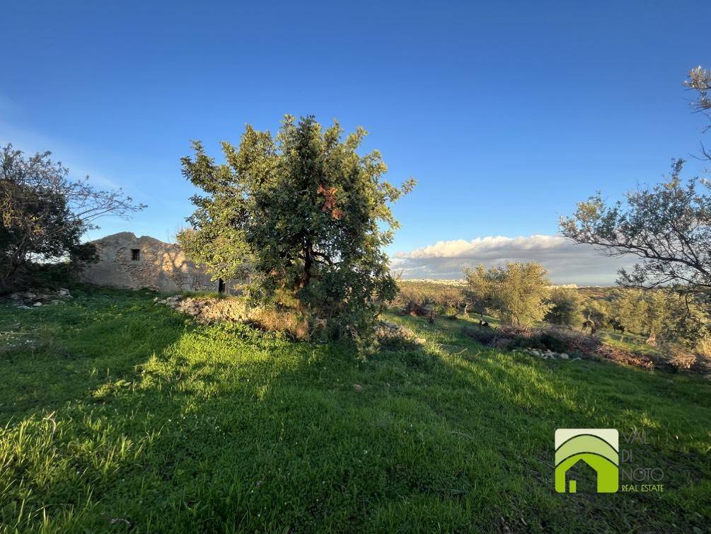 Terreno a Noto in Strada Provinciale Palazzolo-Testa dell'Acqua-Noto - Foto 3