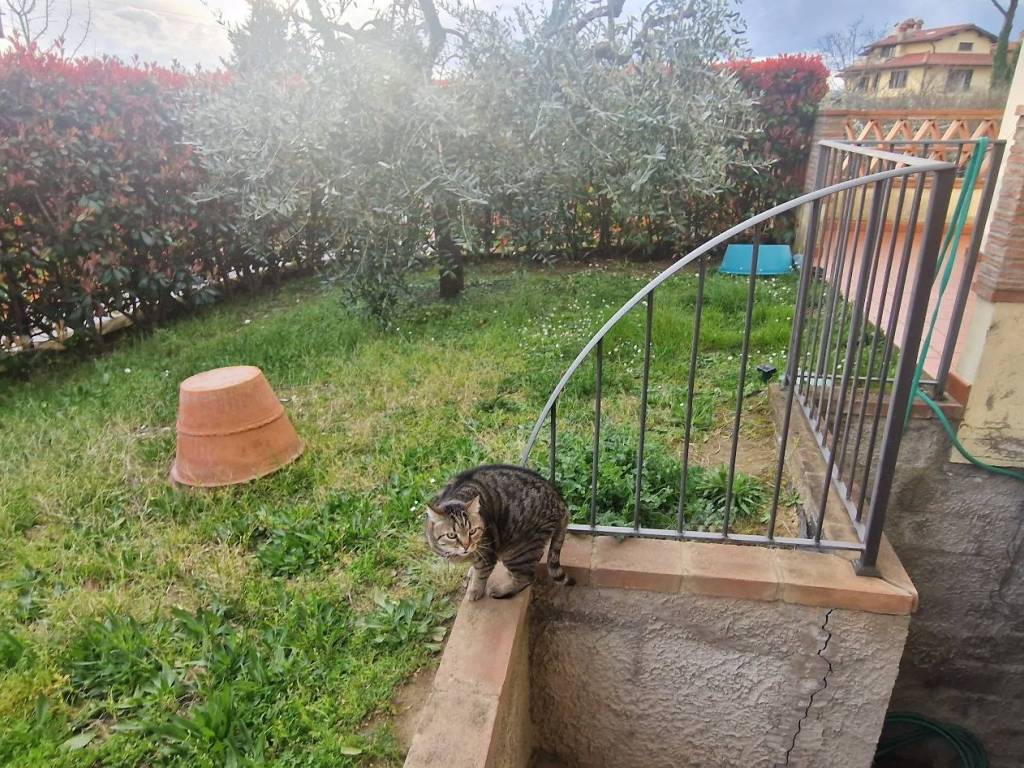 Appartamento a Castelfranco piandisco - Foto 5