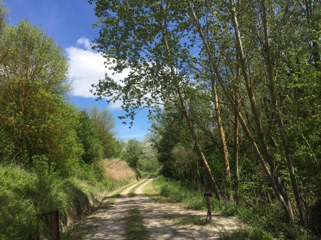 Terreno a Brisighella in Via Rio Chie' - Foto 3