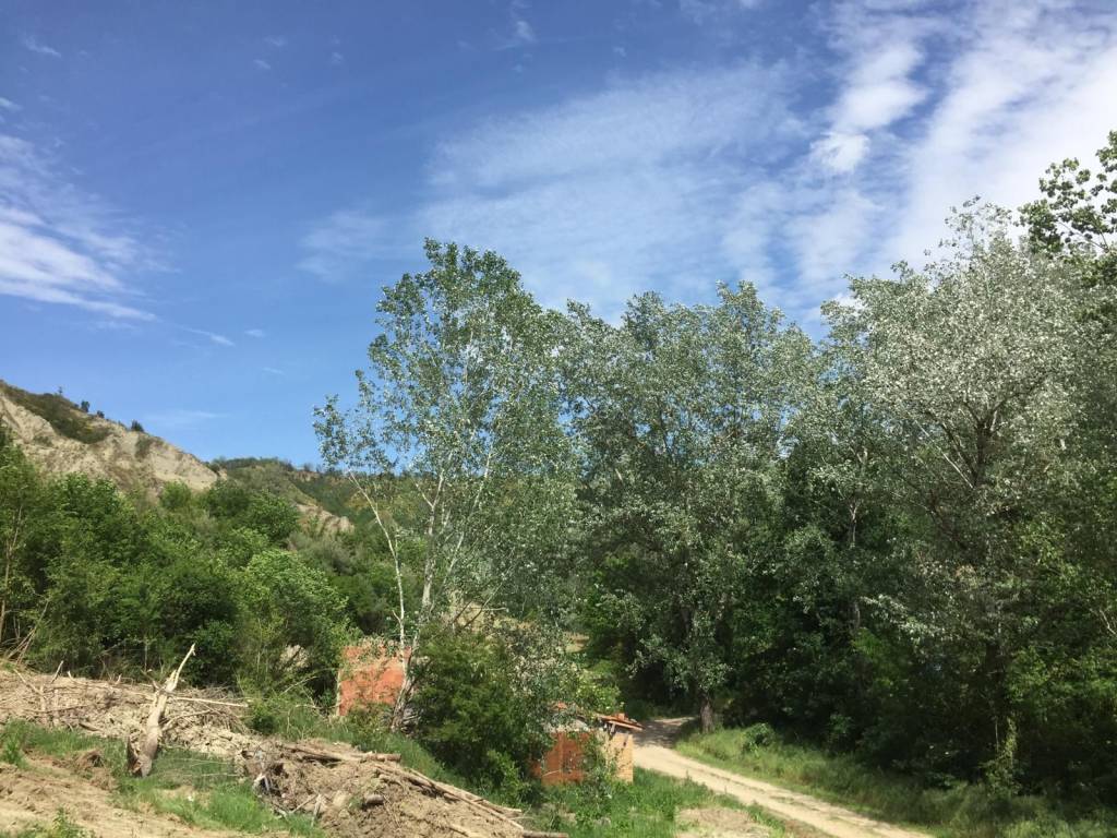 Terreno a Brisighella in Via Rio Chie' - Foto 4