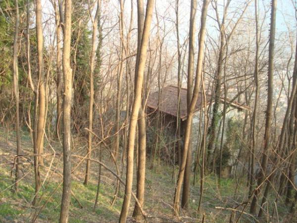 Rustico / casale a Cercino in Via Provinciale Piussogno - Cercino - Foto 4