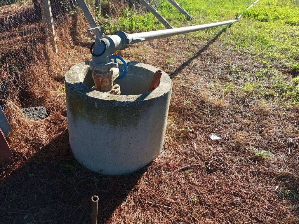 Terreno a Tarquinia in Località Farnesiana - Foto 3