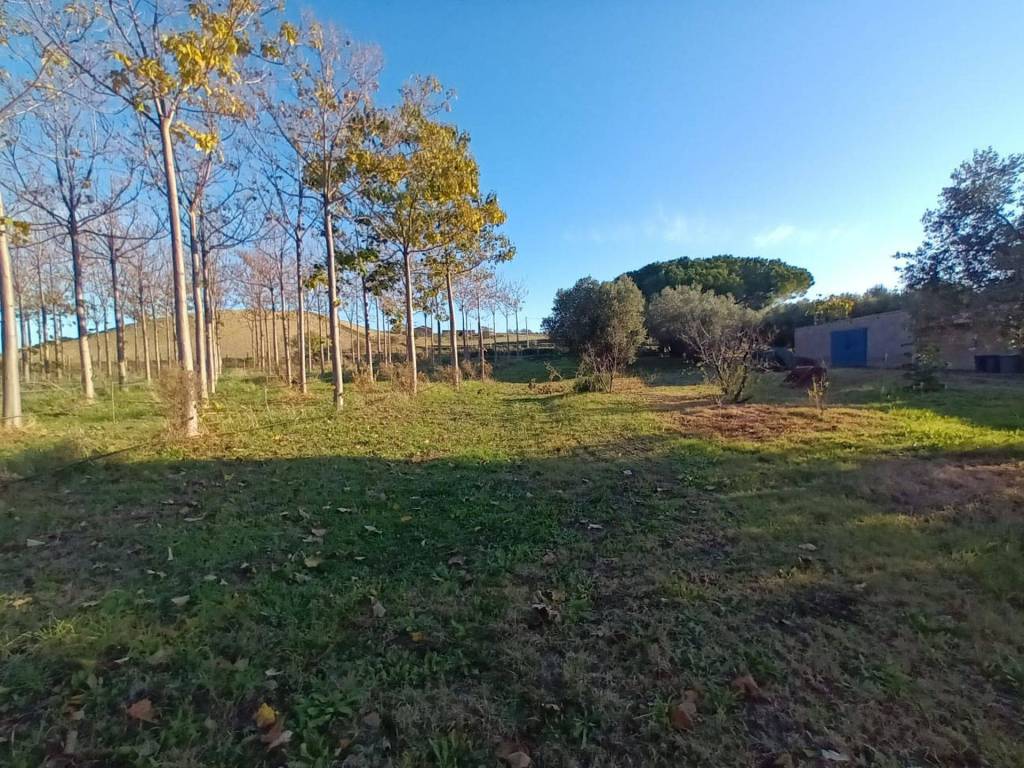 Terreno a Tarquinia in Località Farnesiana - Foto 4