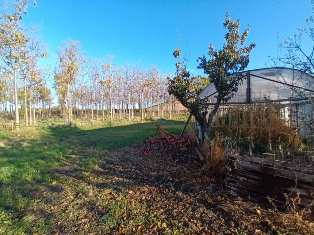 Terreno a Tarquinia in Località Farnesiana - Foto 5