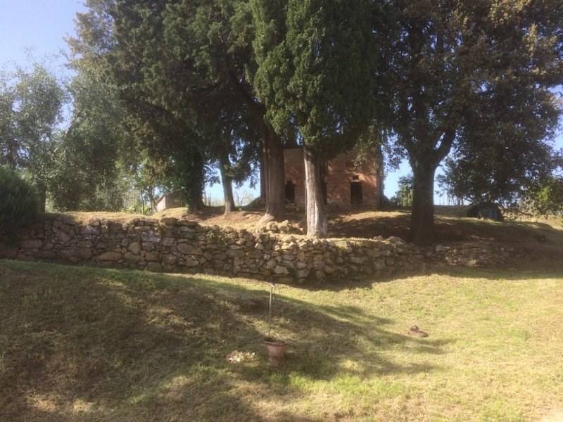 Rustico / casale a San gimignano in Loc. Ranza - Foto 4
