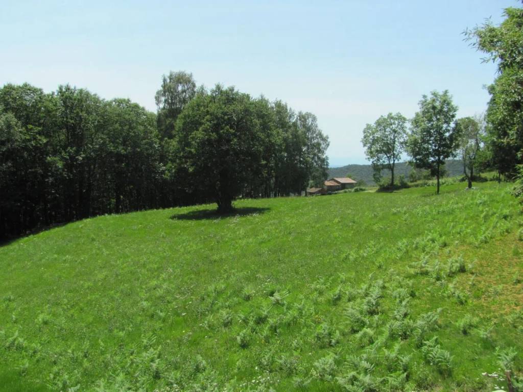 Rustico / casale a Donato in Muscasa S.N.C. - Foto 4