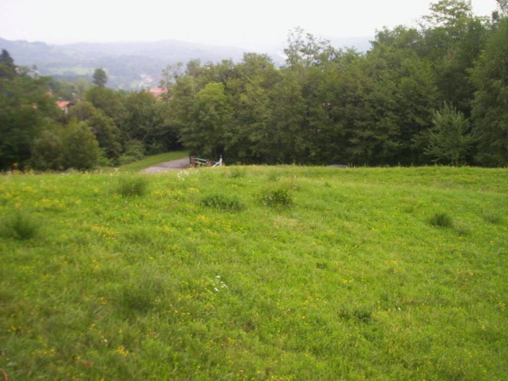 Terreno a Netro in Località Fiai S.N.C. - Foto 2