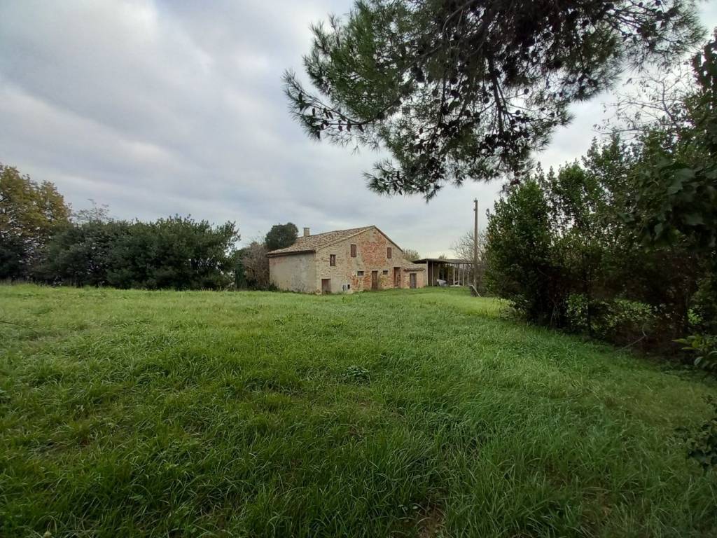 Rustico / casale a Osimo in Via Colle San Biagio, 41 - Foto 2