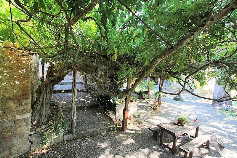 Rustico / casale a Volterra - Foto 5