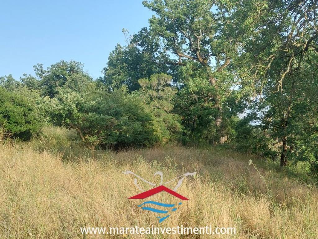 Terreno a Maratea in Via Massa Pizarrone - Foto 2