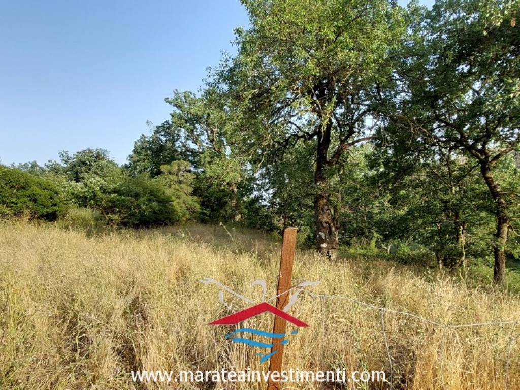 Terreno a Maratea in Via Massa Pizarrone - Foto 5