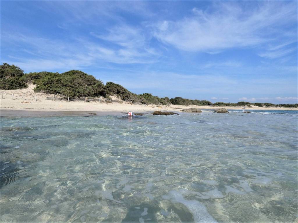 Immobile a Porto cesareo - Foto 3