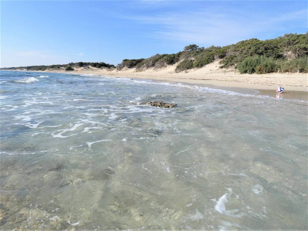 Immobile a Porto cesareo - Foto 4