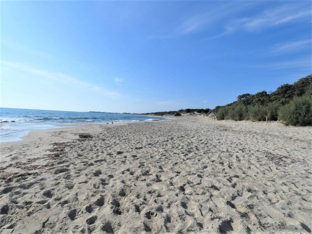 Immobile a Porto cesareo - Foto 5