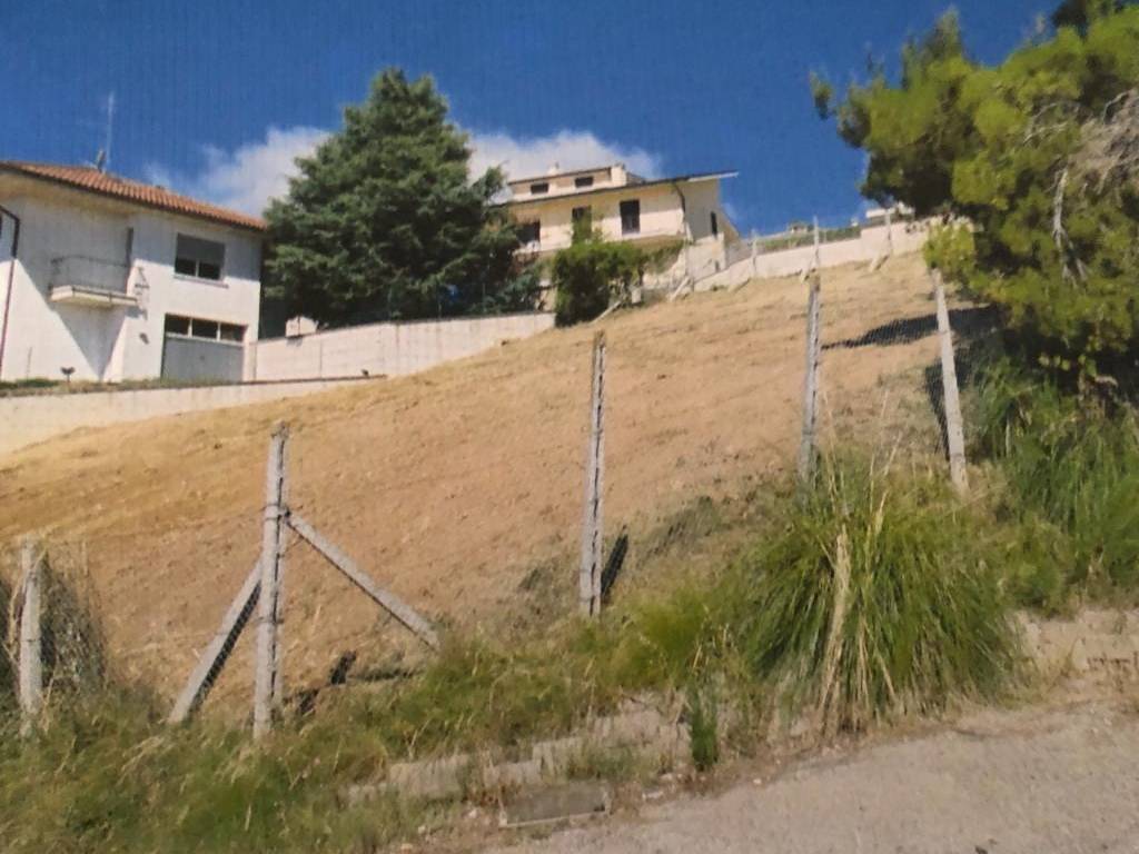 Terreno a Ripatransone in Abaceto - Foto 2