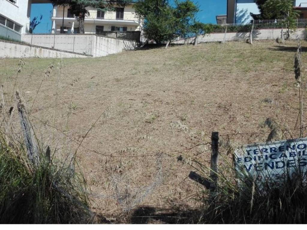 Terreno a Ripatransone in Abaceto - Foto 5