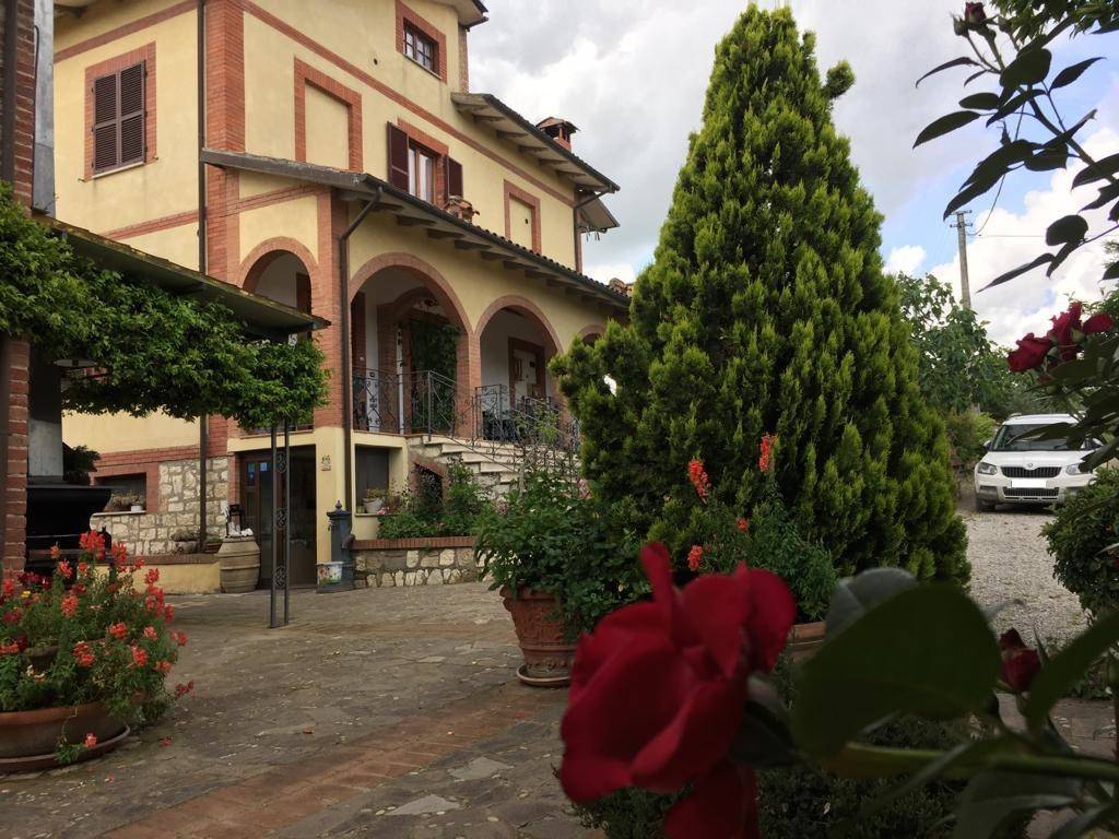 Rustico / casale a Torrita di siena in Località Petriolo - Foto 3