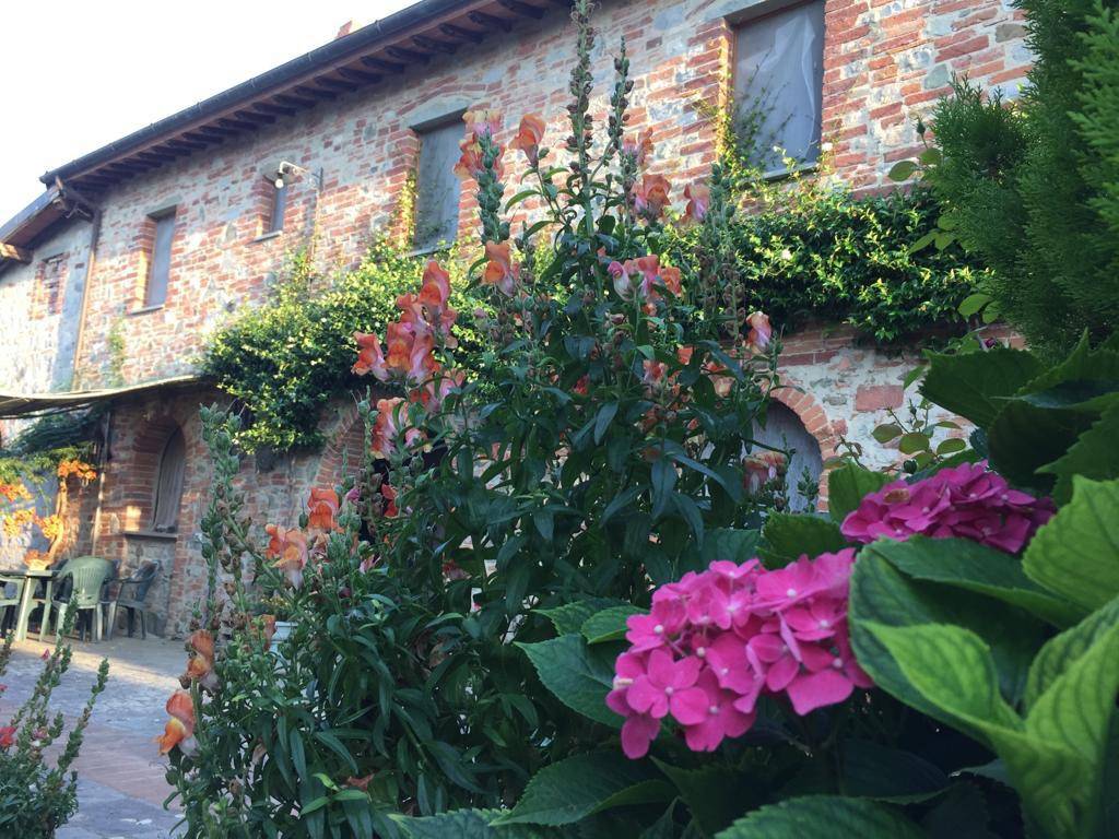 Rustico / casale a Torrita di siena in Località Petriolo - Foto 4