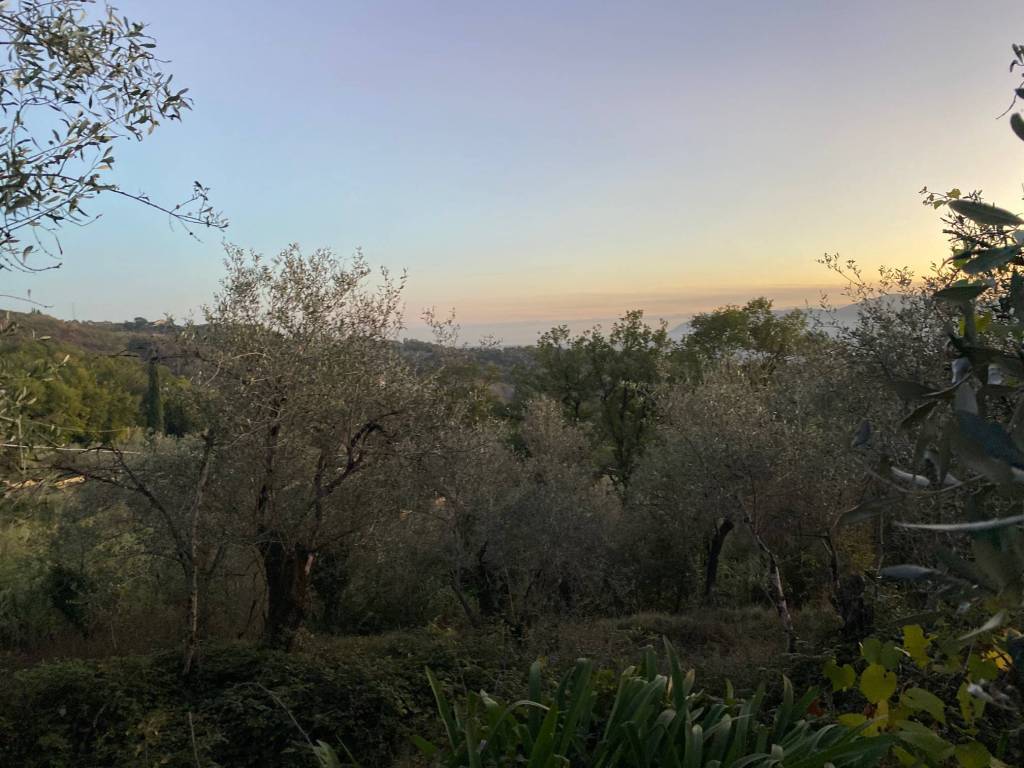 Rustico / casale a Sarzana in Via Ghigliolo Alto, 17 - Foto 4