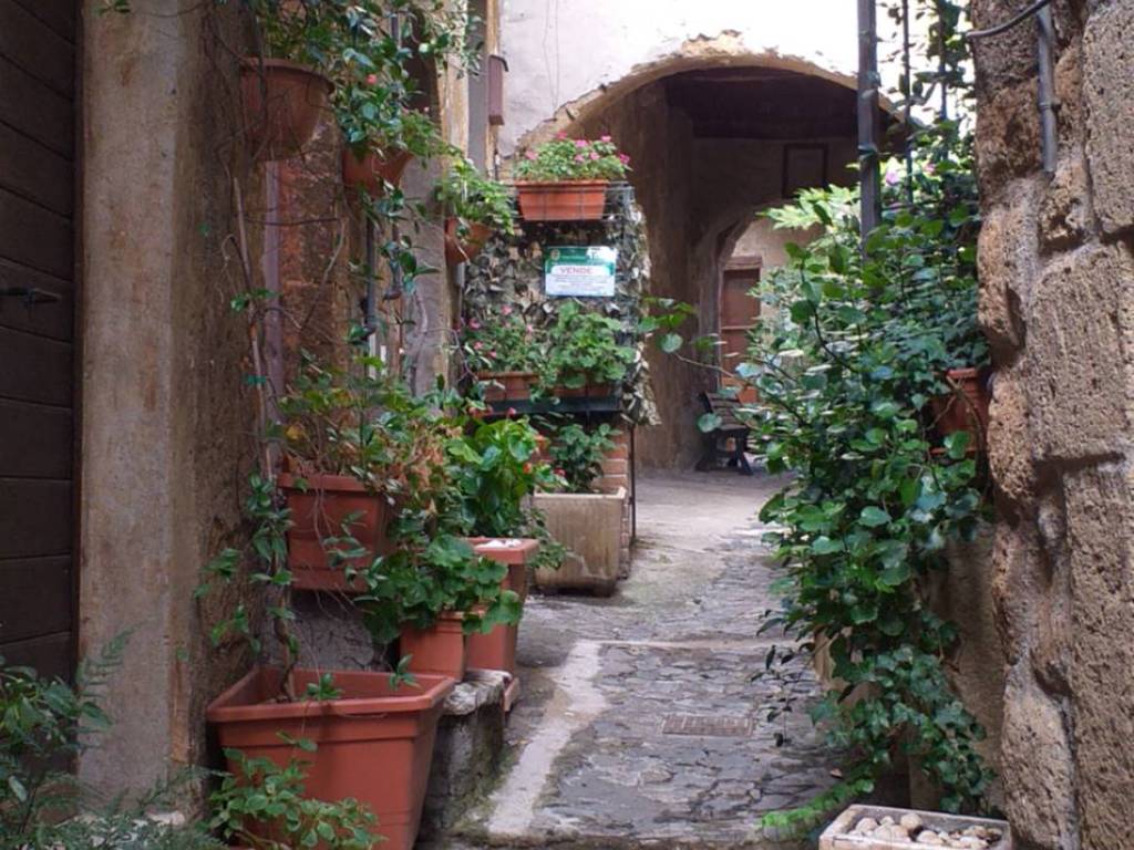 Casa indipendente a Farnese in Via Giovanni Battista Passeri, 135 - Foto 2