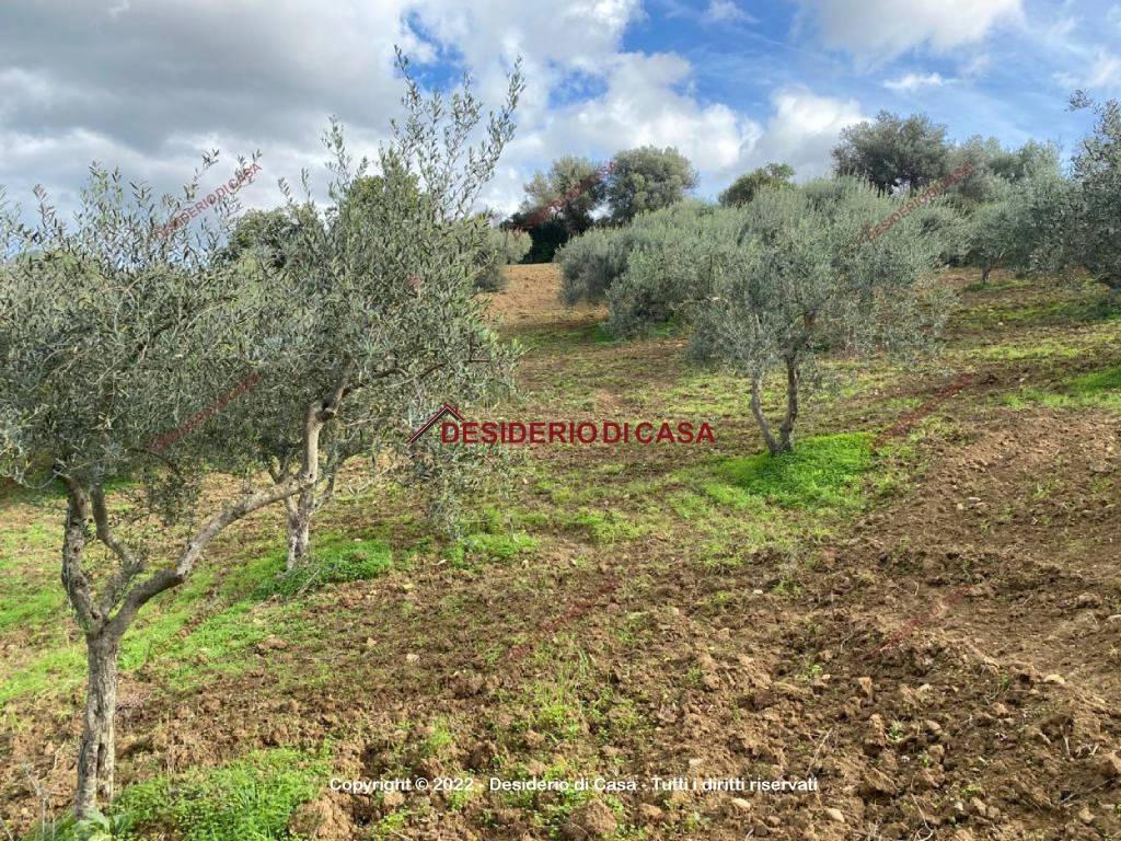 Terreno a Caccamo in Via Sant'Orsola - Foto 2