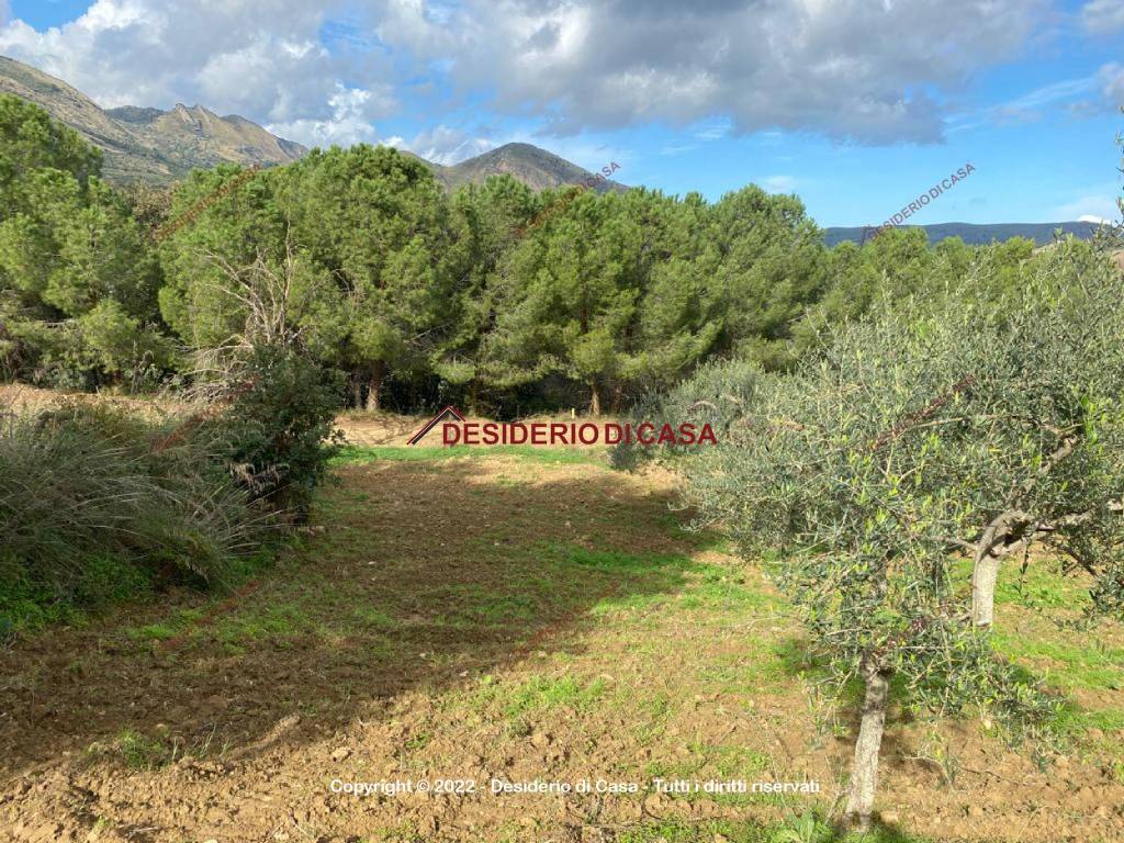 Terreno a Caccamo in Via Sant'Orsola - Foto 3