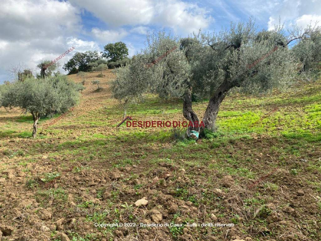 Terreno a Caccamo in Via Sant'Orsola - Foto 4