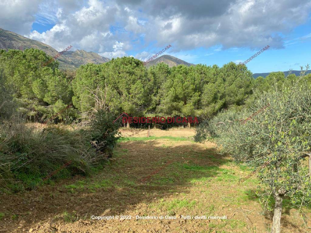 Terreno a Caccamo in Via Sant'Orsola - Foto 5