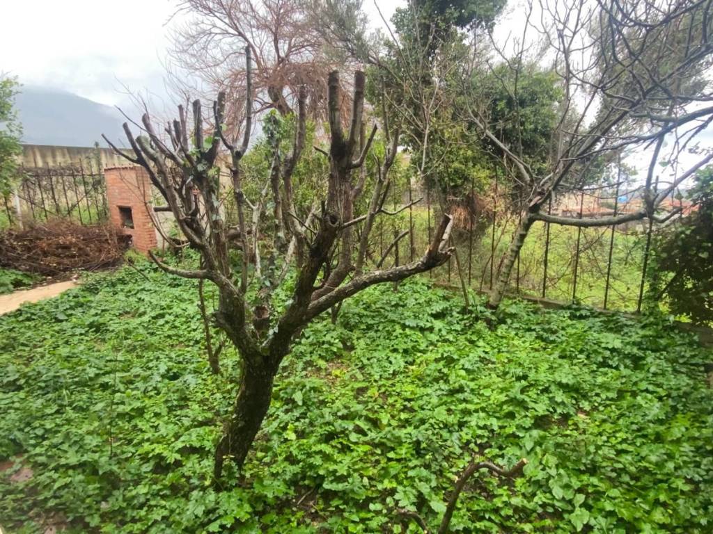 Villa a Carini in Via Francesco Cangialosi - Foto 3