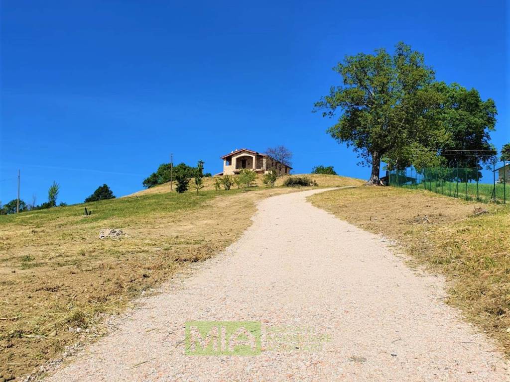 Rustico / casale a Montedinove - Foto 3