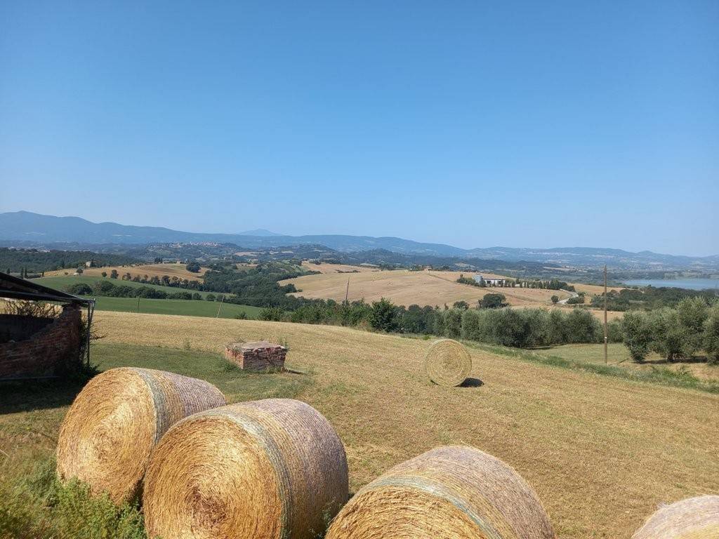 Rustico / casale a Castiglione del lago - Foto 2
